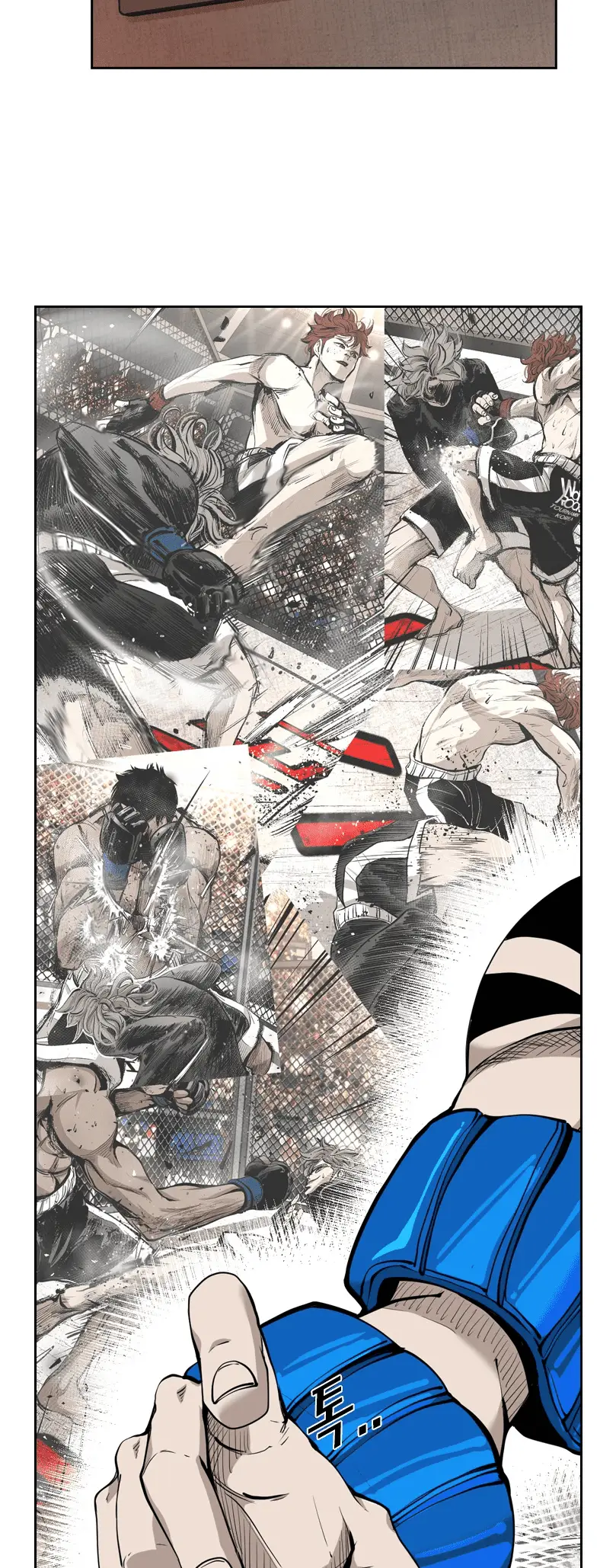Read Shark Manga Online