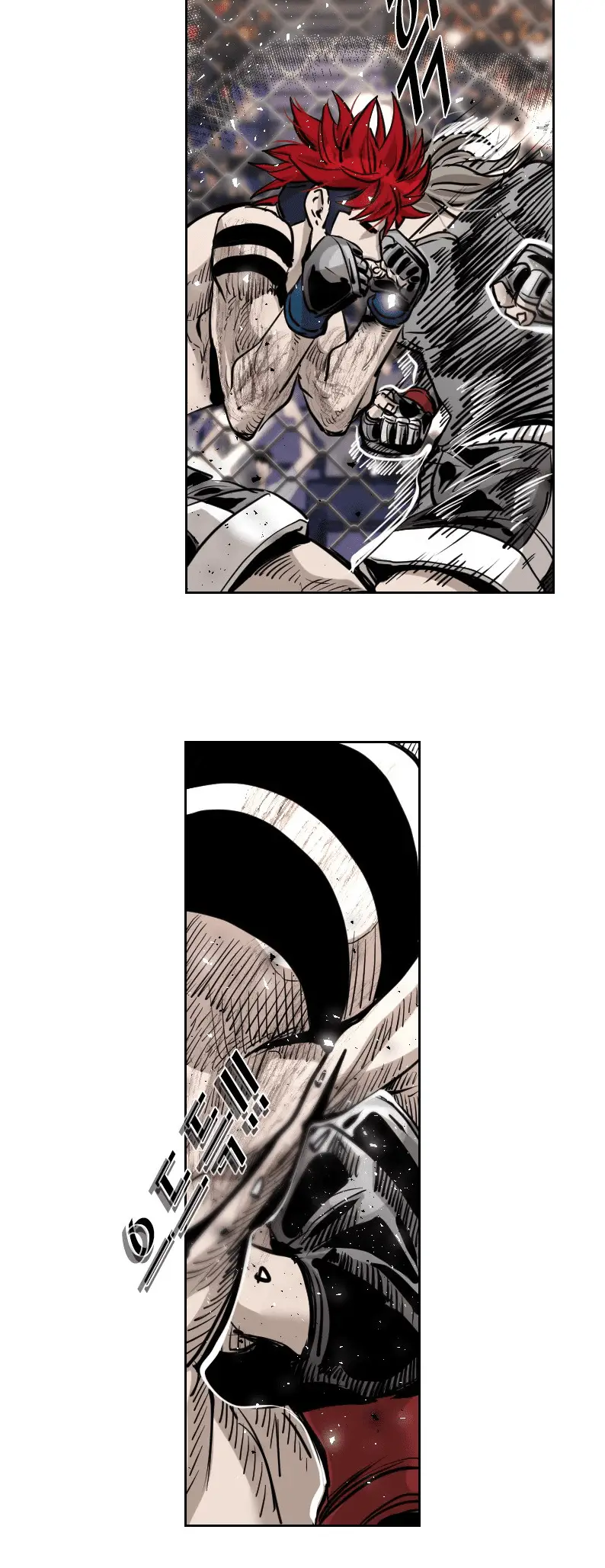 Read Shark Manga Online
