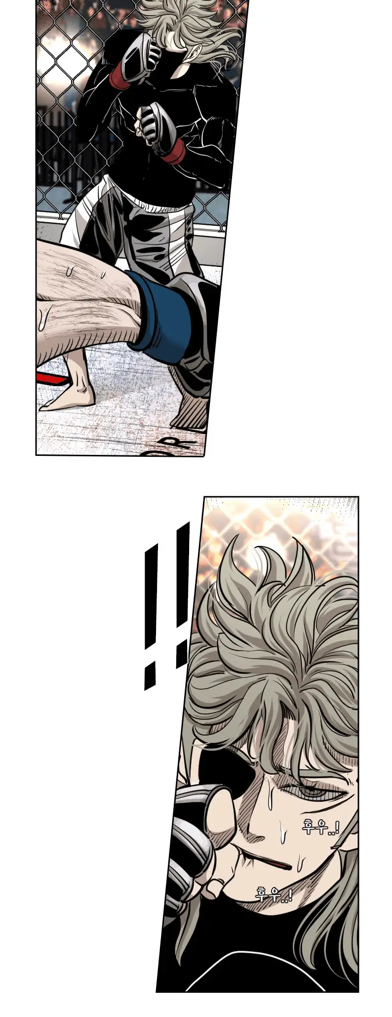 Read Shark Manga Online