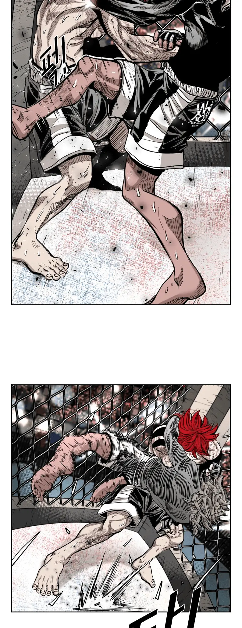 Read Shark Manga Online