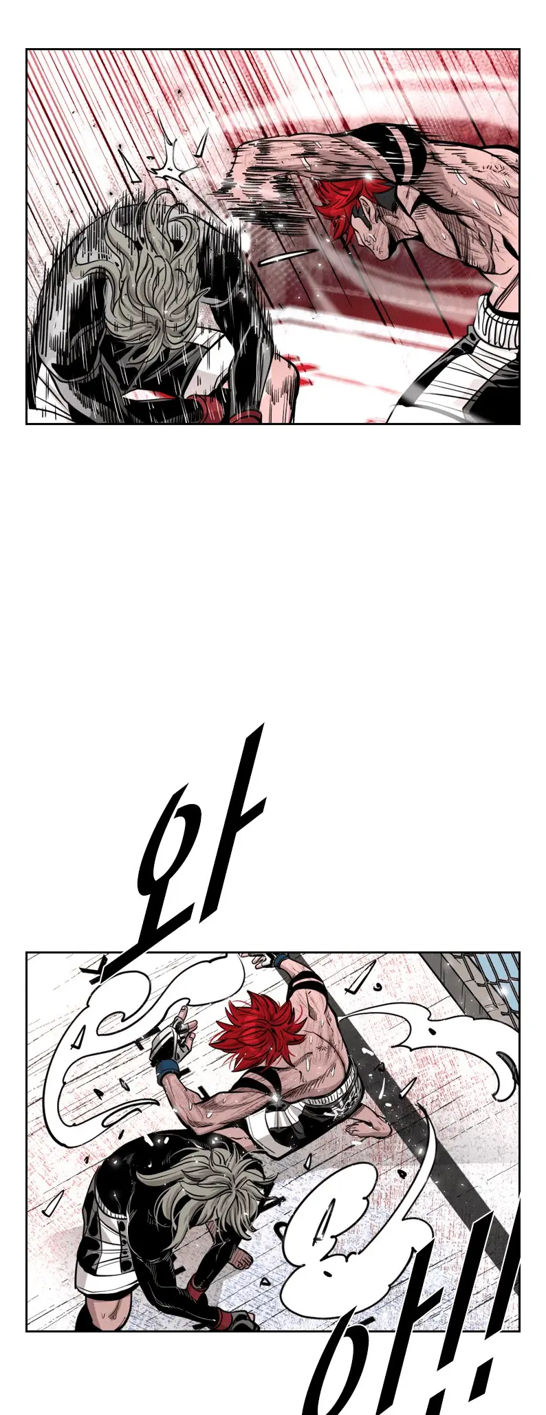 Read Shark Manga Online