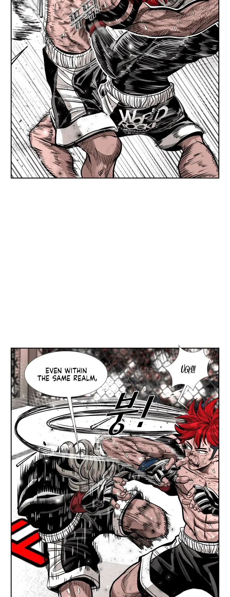 Read Shark Manga Online