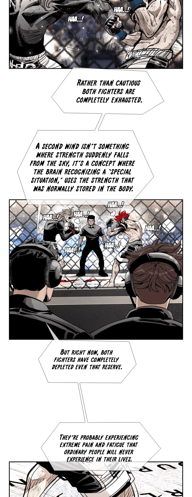 Read Shark Manga Online
