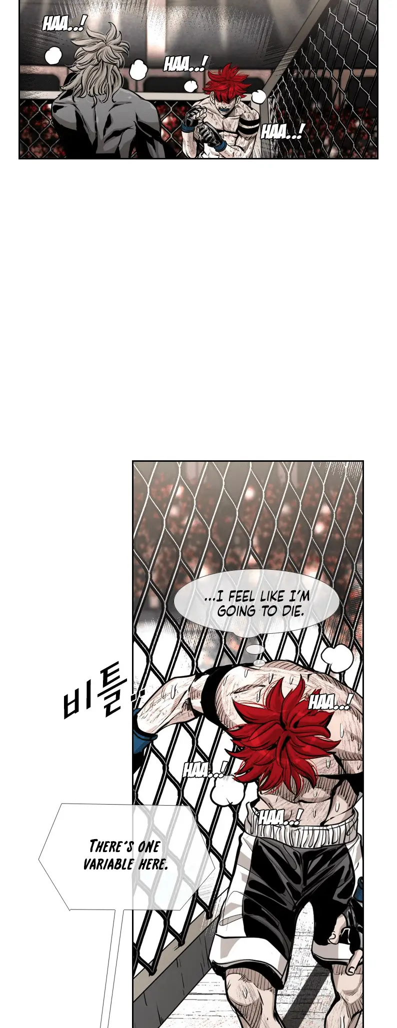 Read Shark Manga Online