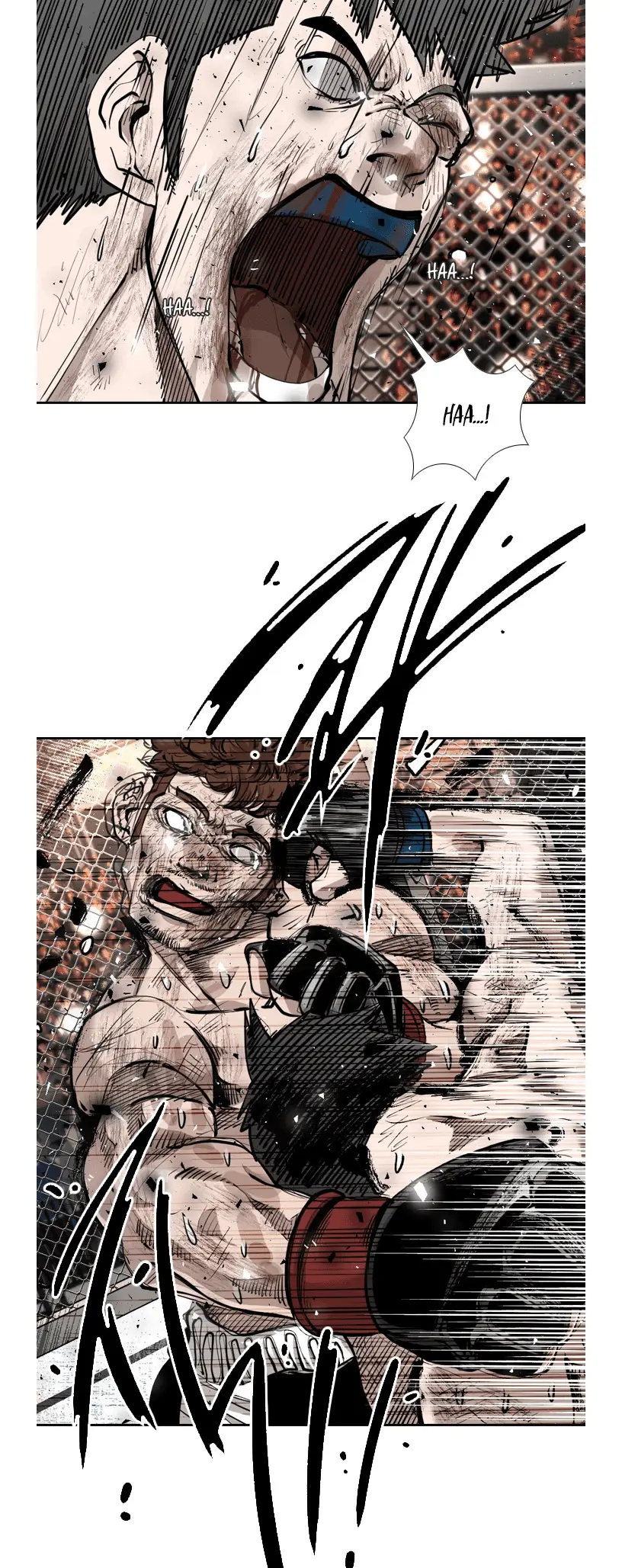 Read Shark Manga Online
