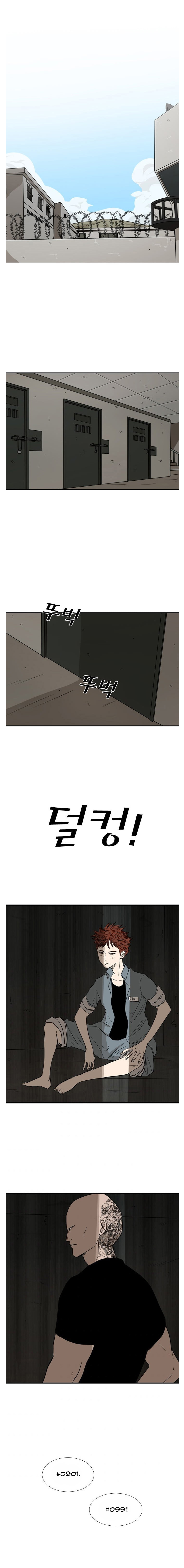 Read Shark Manga Online