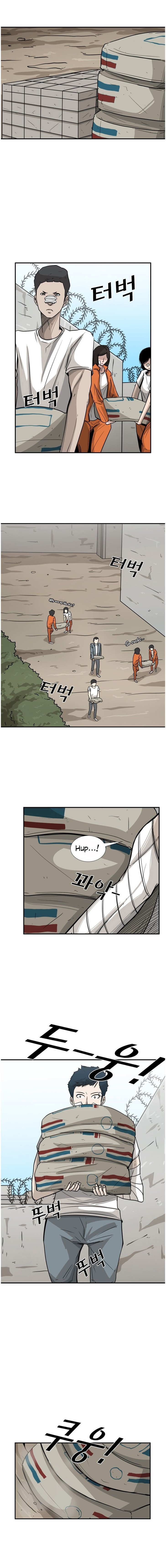 Read Shark Manga Online
