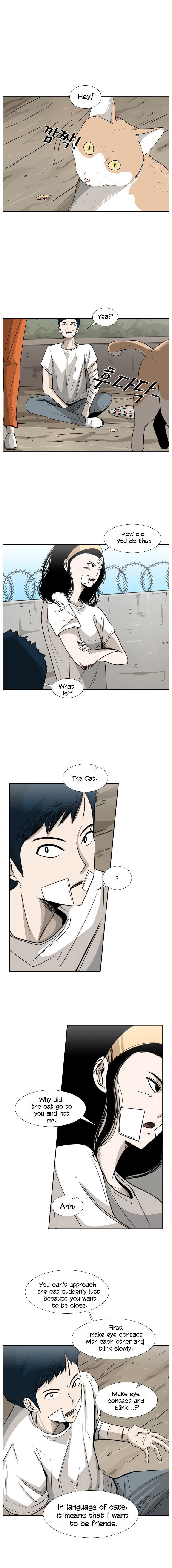 Read Shark Manga Online