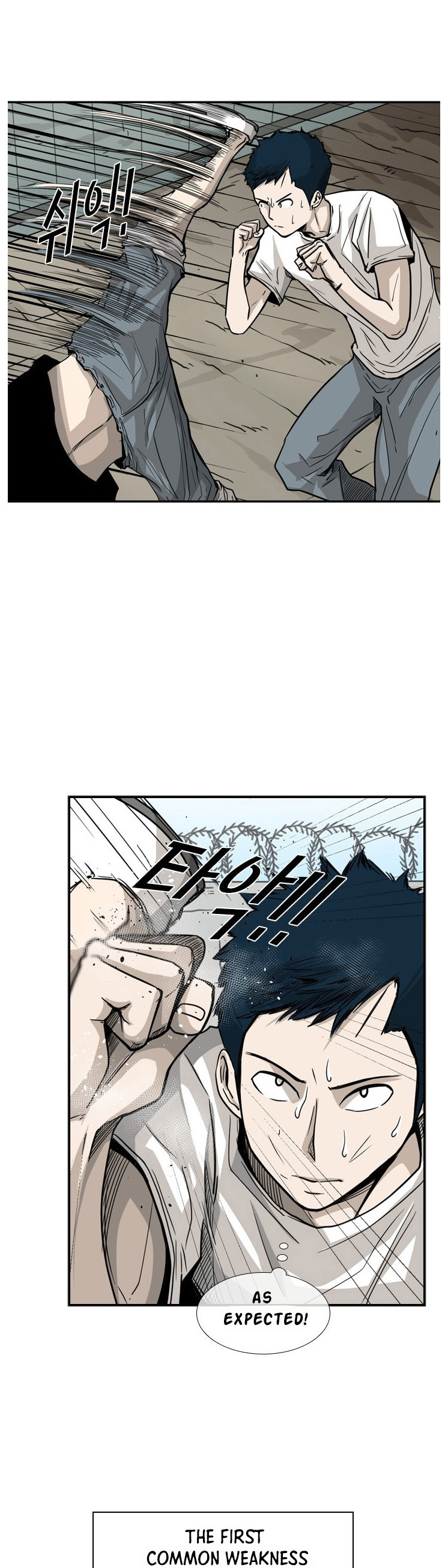 Read Shark Manga Online