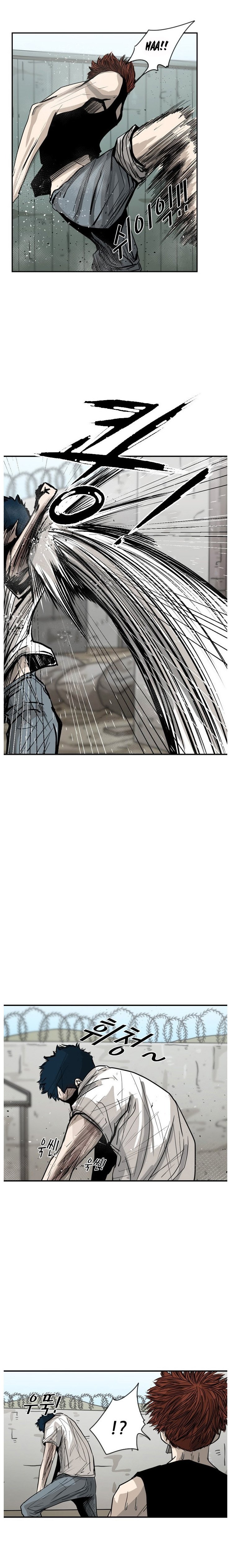 Read Shark Manga Online