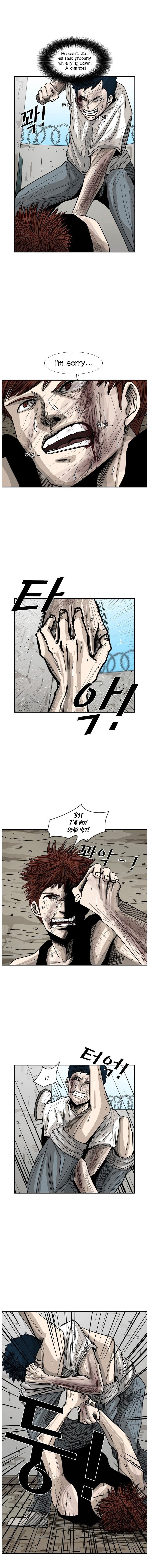 Read Shark Manga Online