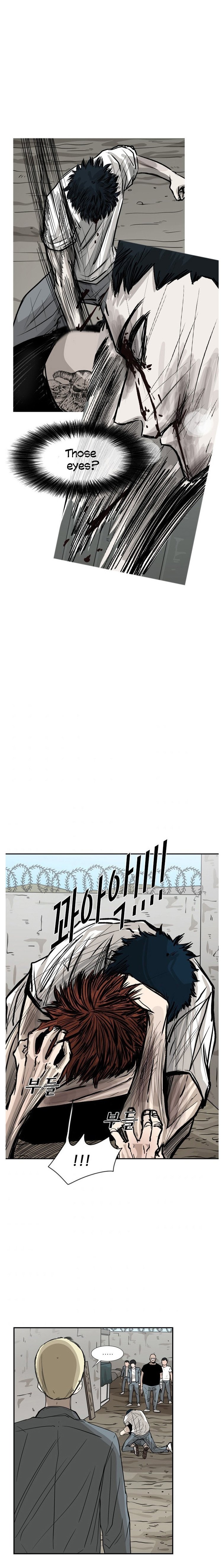 Read Shark Manga Online