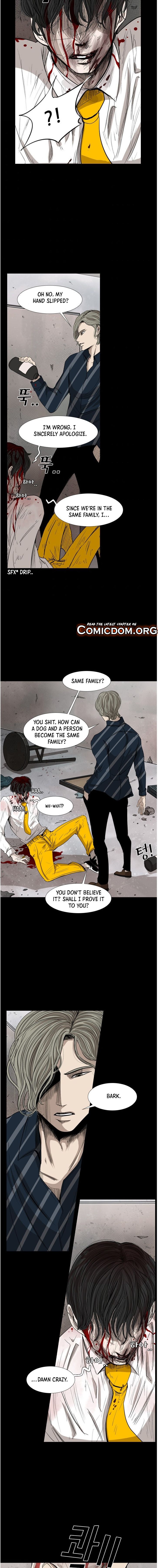 Read Shark Manga Online