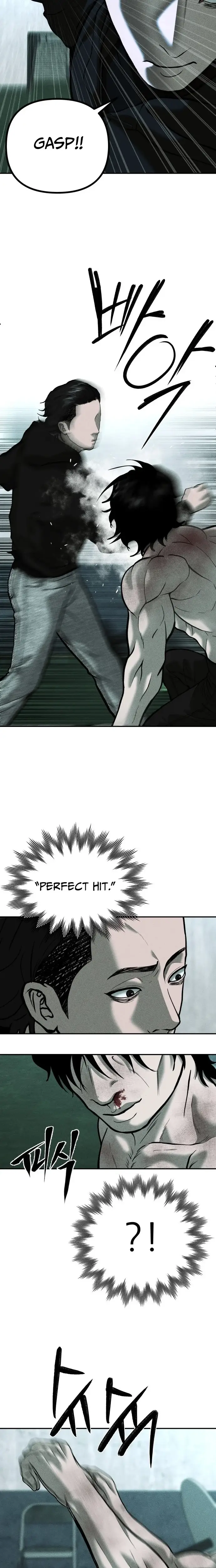 Read Spy Crocodile Bird Manga Online