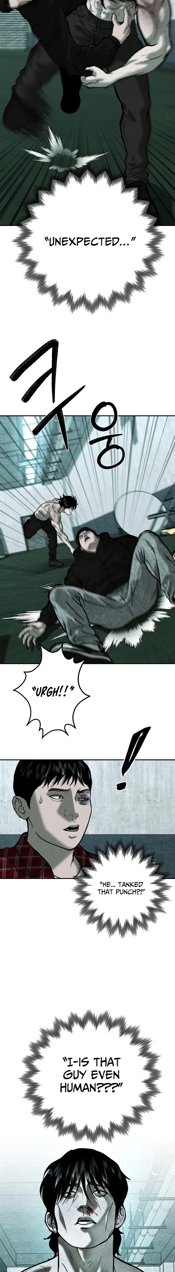 Read Spy Crocodile Bird Manga Online