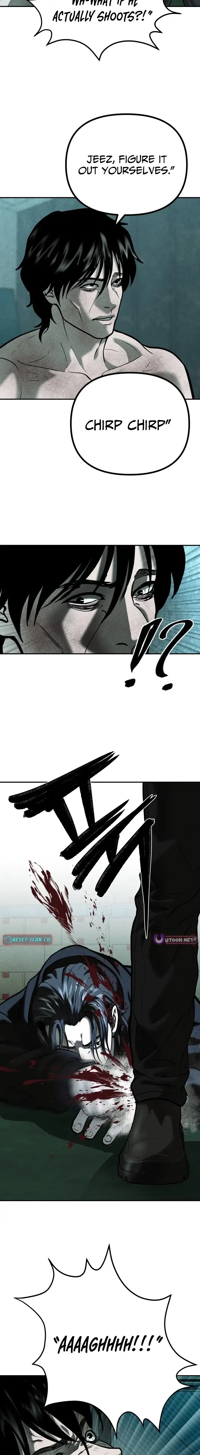 Read Spy Crocodile Bird Manga Online