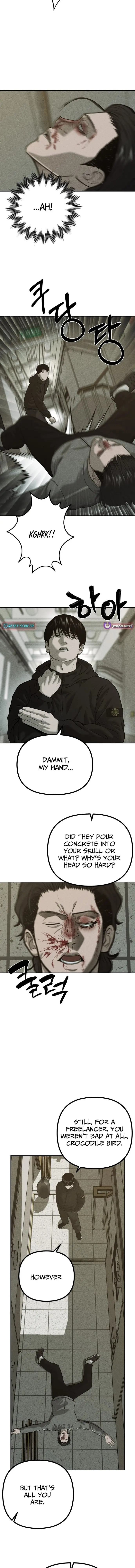 Read Spy Crocodile Bird Manga Online