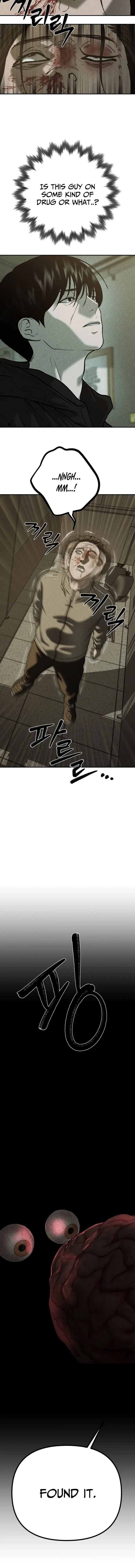 Read Spy Crocodile Bird Manga Online