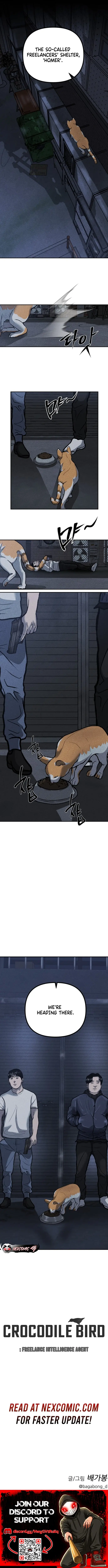 Read Spy Crocodile Bird Manga Online