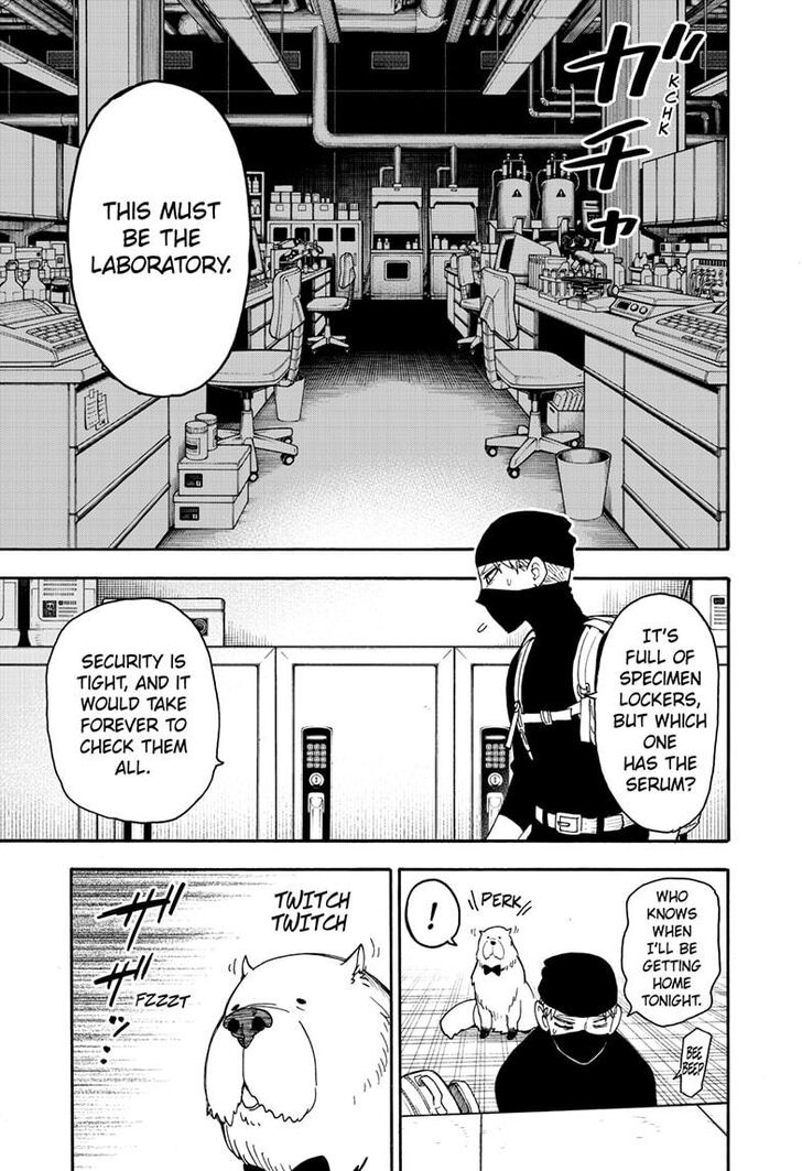 Read Spy x Family Manga Online