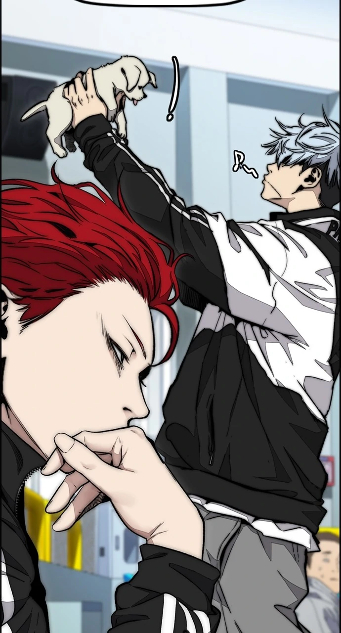Read Wind Breaker Manga Online