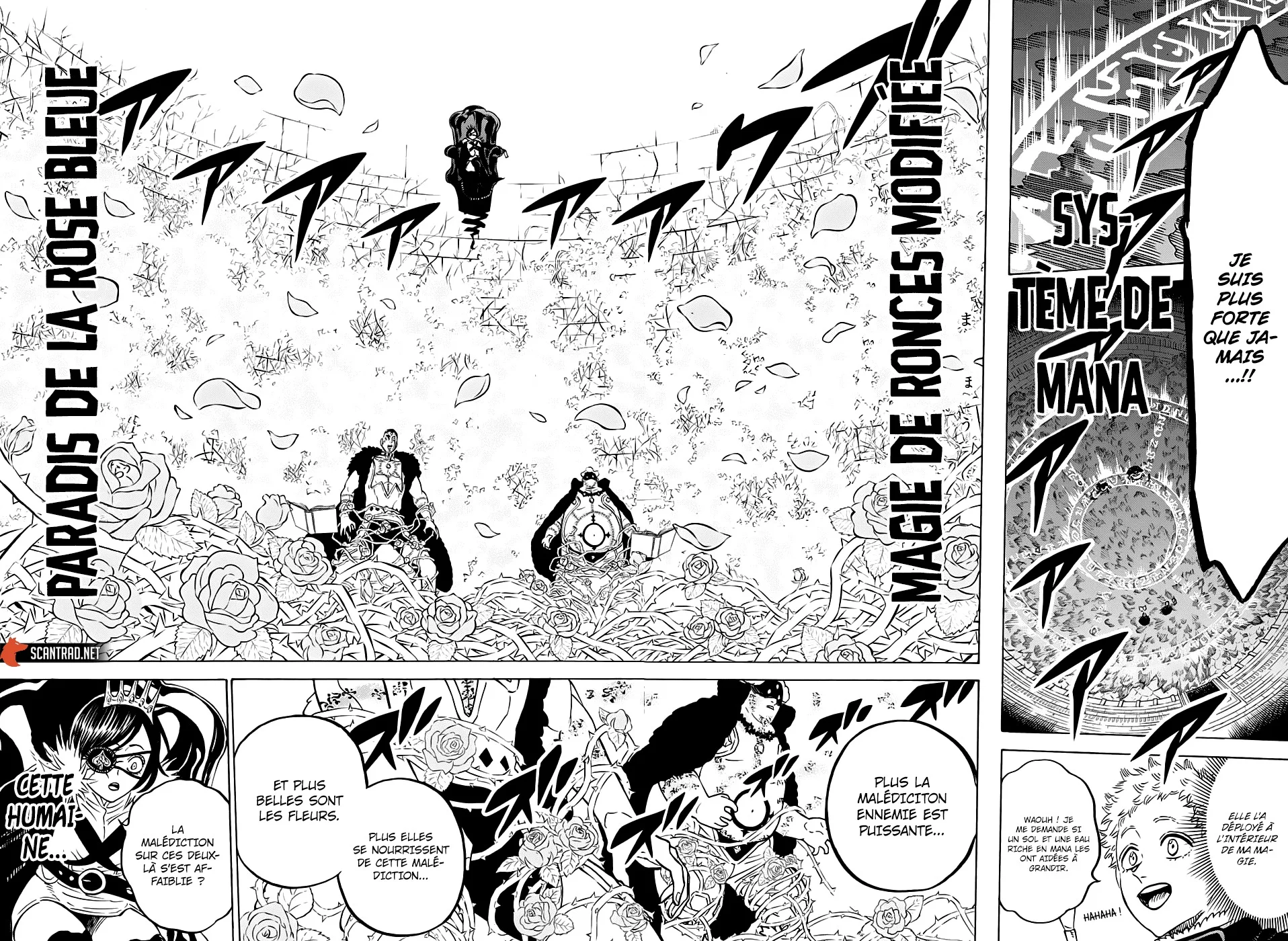 Read Black Clover FR Manga Online