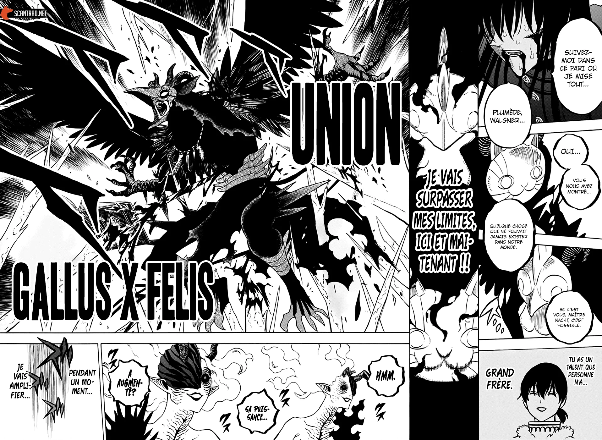 Read Black Clover FR Manga Online