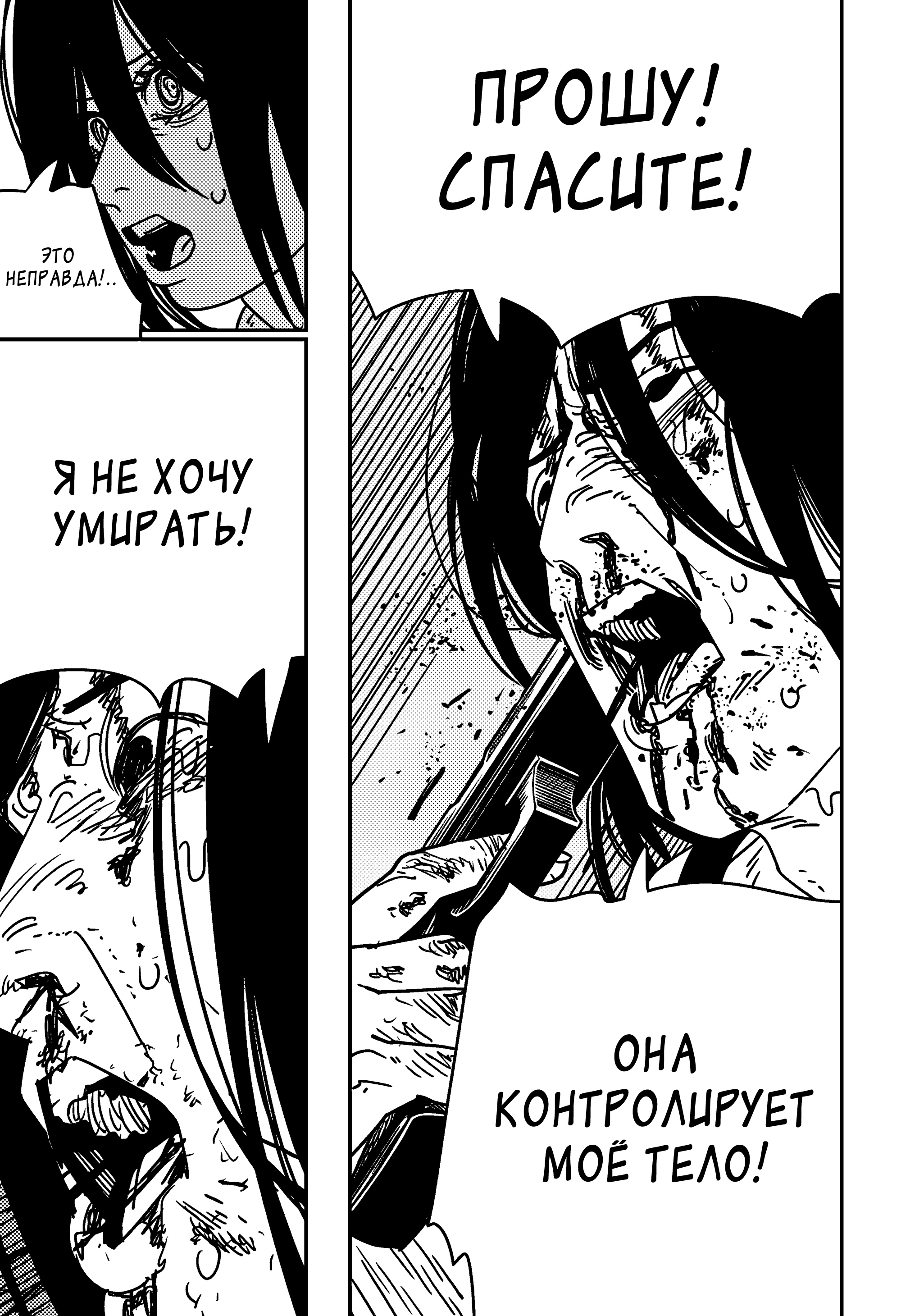 Read Chainsaw Man RU Manga Online